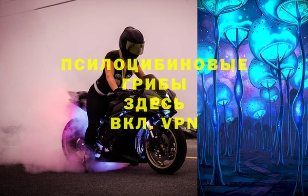 гидропоника Магас